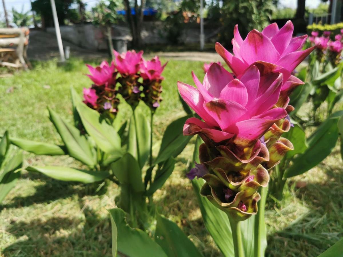 ฺBaan Rai Ing Doi Hotel ชัยภูมิ ภายนอก รูปภาพ